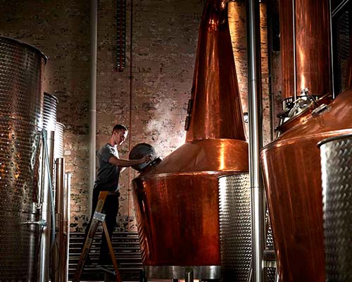 especialidad cervecería y destilerías